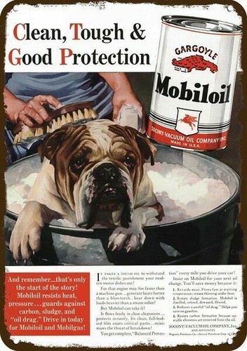 1940 bulldog inglese cane - bulldog, bath