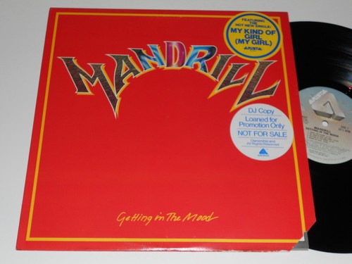Mandrill getting the mood - in,