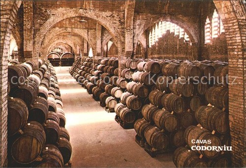 Vino cavas codorniu - vino, cantina