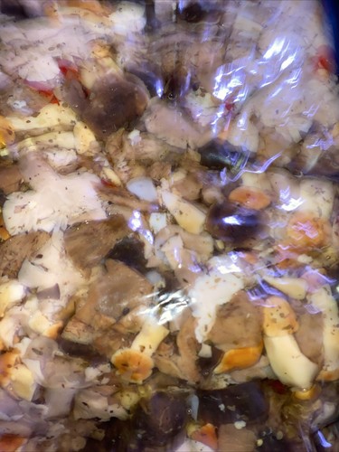 Funghi misti bosco busta - misti,