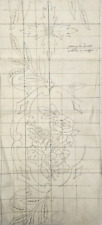 Scuola del XIX secolo Antico Disegno a Matita su Carta Studio di Fiori Floreale