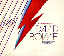 The Many Faces Of David Bowie