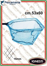 Testa Guadino Ignesti Maxi