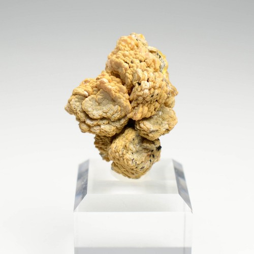 Vanadinite phosphohedyphane - vanadinite,,