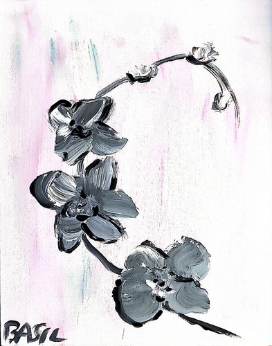 Orchidea minimalista zen - orchidea,
