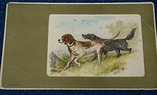 53433 AK Bracco Tedesco