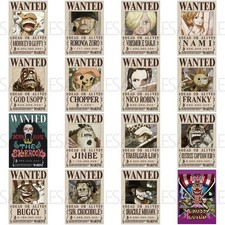 One Piece Marine Issued