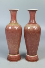 Bellissima porcellana cinese