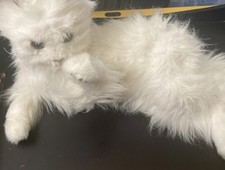 FurReal Friends Lulu My