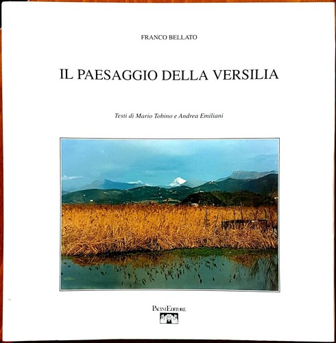 Franco bellato paesaggio - franco, il