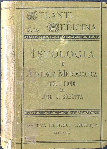 Istologia anatomia - istologia, e