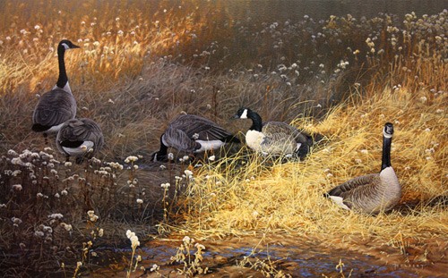 Dan milbert evening grass - dan,