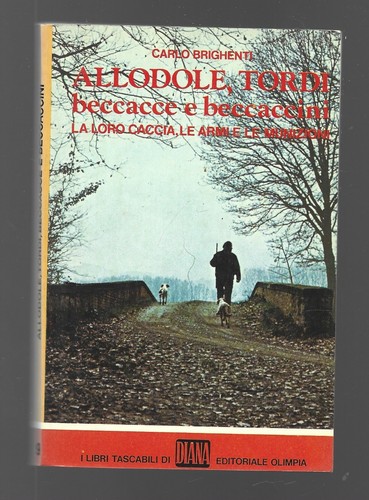 Carlo brighenti allodole - carlo,