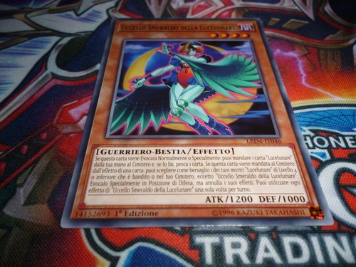 Uccello smeraldo - gi,