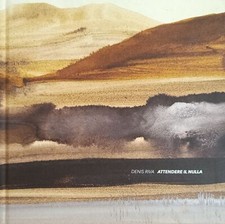 RIVA DENIS ATTENDERE IL NULLA 2017 Blu Gallery