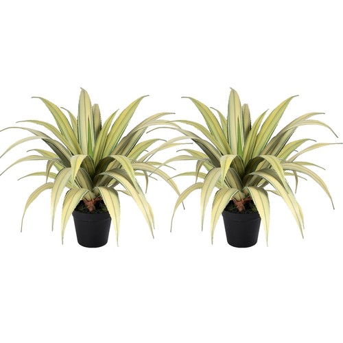 Piante agave artificiali a - di,