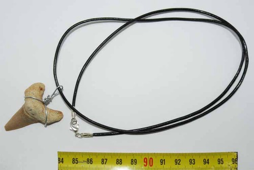 Collana pendente dente - collana, di