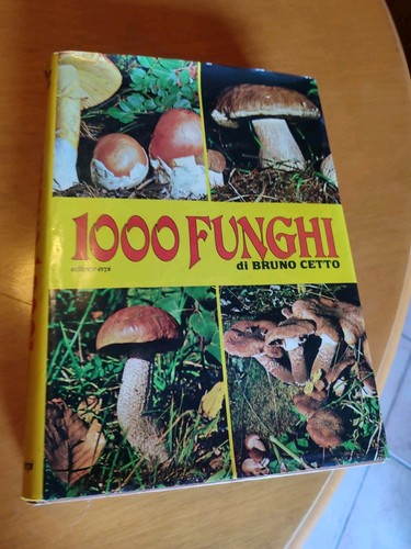 Funghi 1000 - 1000, di