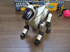 Sony AIBO ERS-210 Robot cane