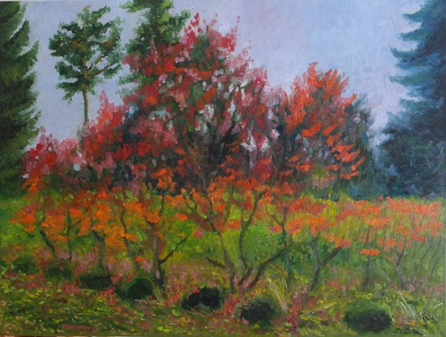 Paesaggio autunno originale - autunno,