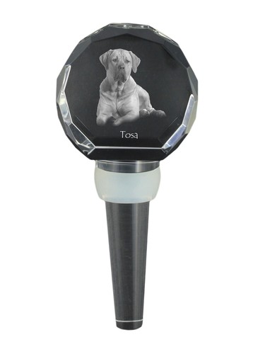 Tosa inu collana - inu, con