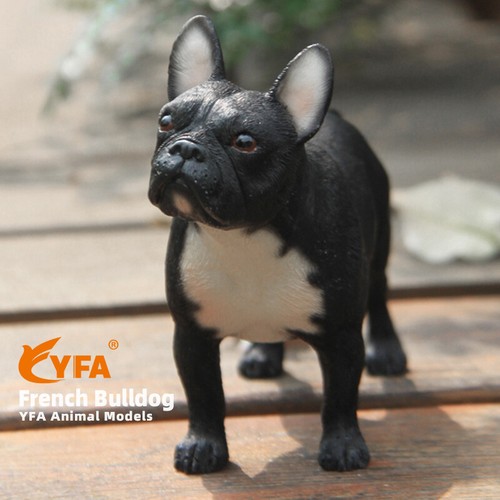 Jjm bulldog francese - jjm,