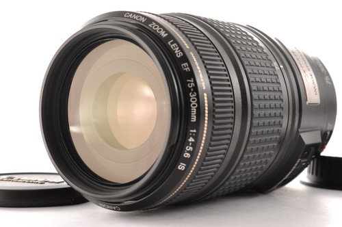 Mint canon 75 300mm - canon, 75-300mm
