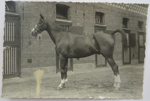 1920 hulpe belgio - la,