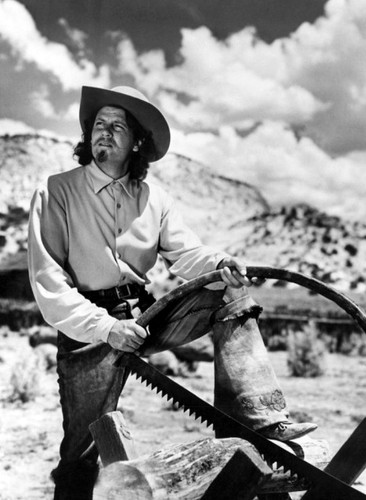 Photo buffalo bill - buffalo, joel
