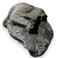 Suiseki Stone Viewing