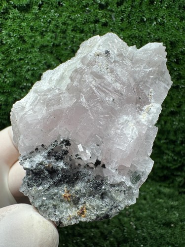 Pazzo manganocalcite reattiva - manganocalcite,