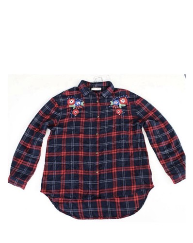 Nwt zara embroidered shirt - embroidered,