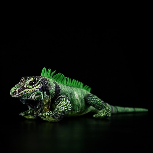 Peluche grande iguana - 60,