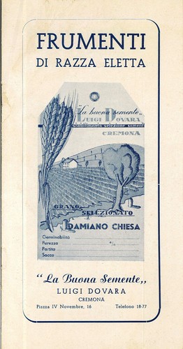 Cremona luigi dovara - cremona.,