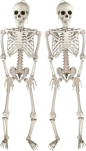Decorazioni halloween - decorazioni,