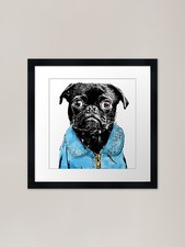 Cool Punk Pug - Vuoi guardare