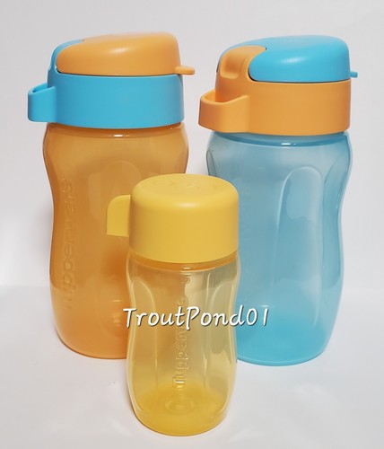 Tupperware eco bottle oz - eco,