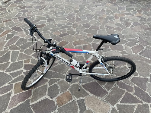Bicicletta mountain bike per