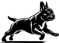 Adesivo BULLDOG FRANCESE - Bulldog adesivo auto - sticker - contorno #42