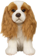 12" Blenheim Cavalier King