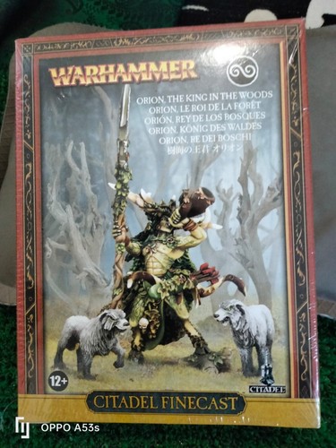 Warhammer elfi silvani - 92-40,