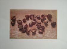 GRAFICHE FIRMATE DI GRANDI MAESTRI A 90 € (AJMONE,MESSINA,BODINI,ADDAMIANO)