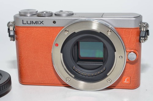 Panasonic lumix gm1 - panasonic,
