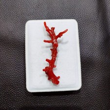 Antico ramo corallo rosso - di,