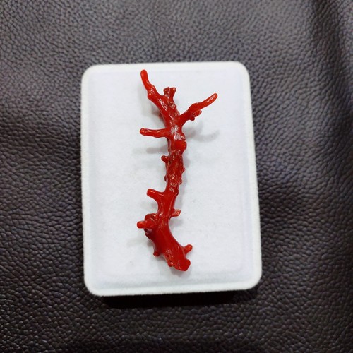 Antico ramo corallo rosso - antico,