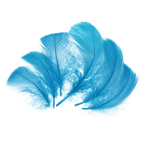 Per 200 piume artigianali blu - per,