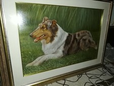 Quadro Border Collie pastore Scozzese di O. Interegger