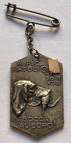 Medaglia napoli caccia - ,