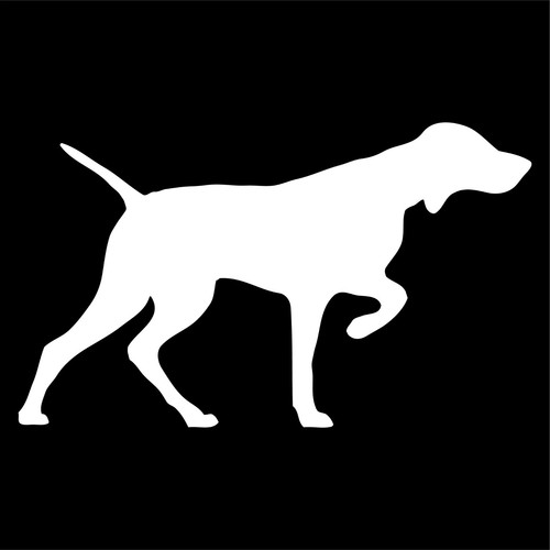 Adesivo vizsla vinile - adesivo,