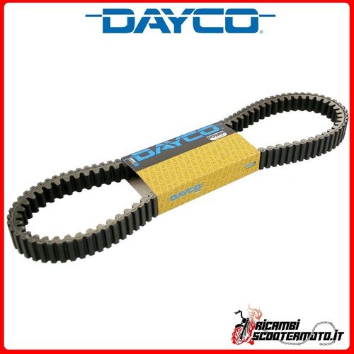 Cinghia trasmissione dayco - cinghia,
